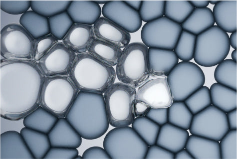 Biotechnology: The Power Behind GLASSFX